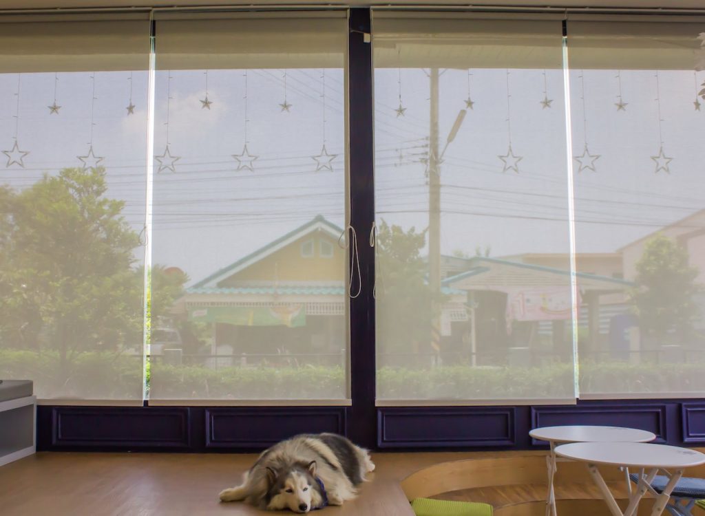 Por que cortinas e persianas são itens importantes para a decoração de sua casa?