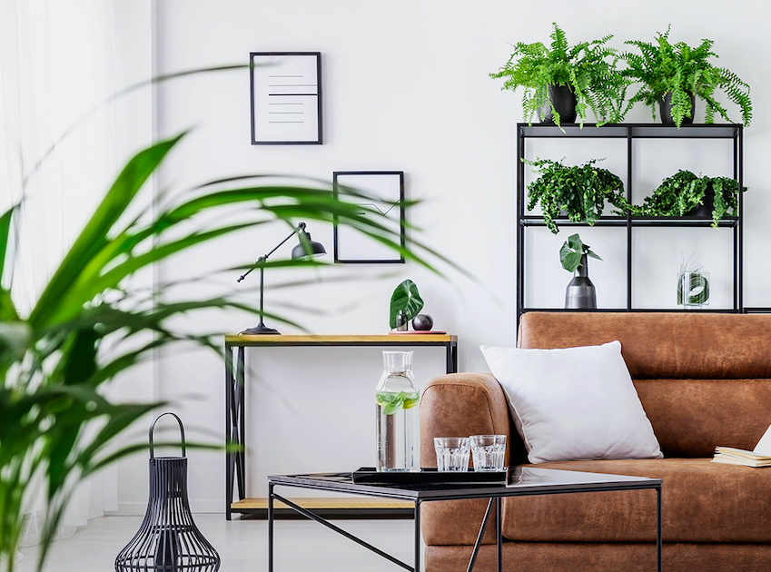 Plantas, hortas e jardins em apartamentos são possíveis: veja como!